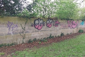 Graffiti Image